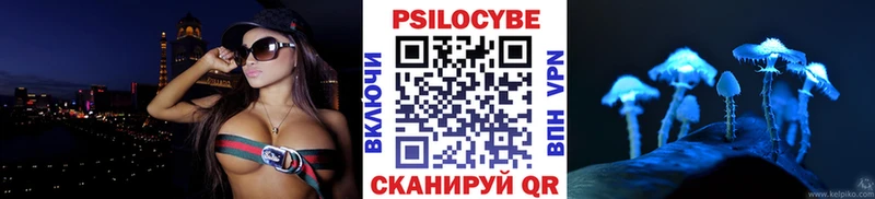 Купить  Кировград  Галлюциногенные грибы Psilocybe 